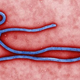 Illustration for article titled What Is the Scariest Disease?